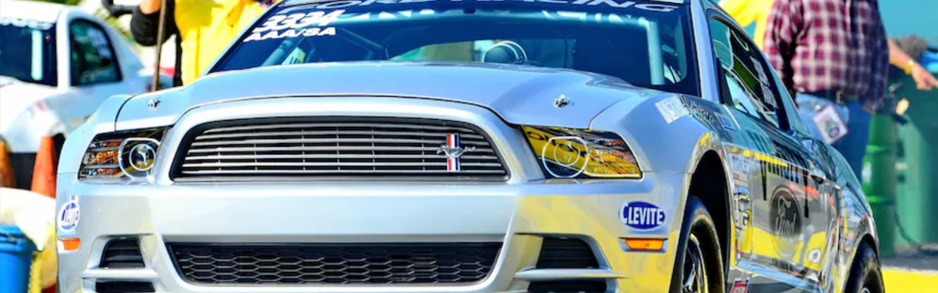 Holbrook Mustang Collection